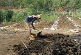 जैविक खाद तैयार करने की प्रमुख विधियों के बारे में जाने यहां